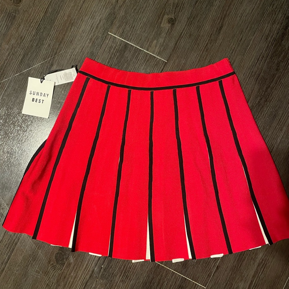 NWT Aritzia Pleated Mini Skirt